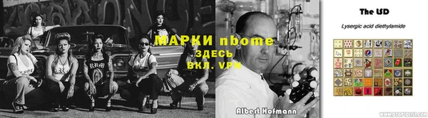 стаф Арсеньев