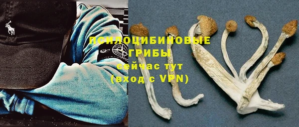 хмурый Армянск
