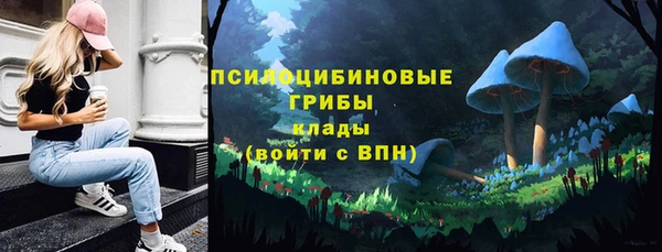 хмурый Армянск