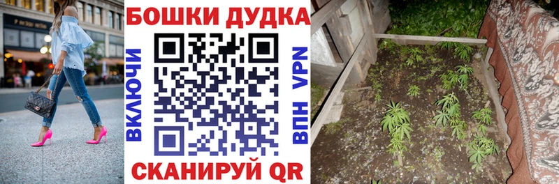 Канабис семена  Ельня 
